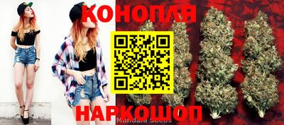 спиды Ливны